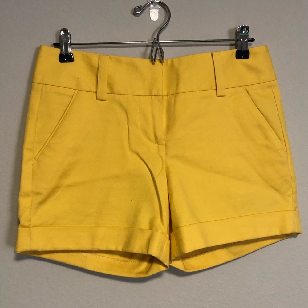 Vince Camuto Shorts